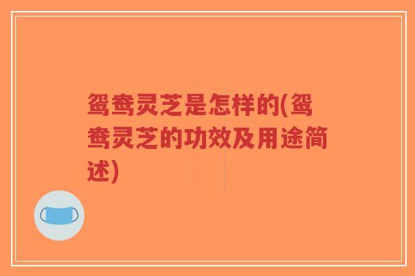 鸳鸯灵芝是怎样的(鸳鸯灵芝的功效及用途简述)