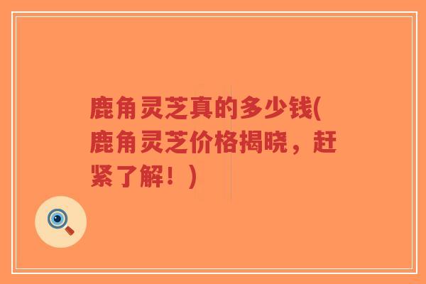 鹿角灵芝真的多少钱(鹿角灵芝价格揭晓,赶紧了解!) 鹿角灵芝真的多少钱(鹿角灵芝价格揭晓,赶紧了解!)
