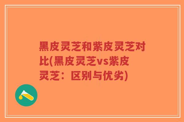 黑皮灵芝和紫皮灵芝对比(黑皮灵芝vs紫皮灵芝：区别与优劣)