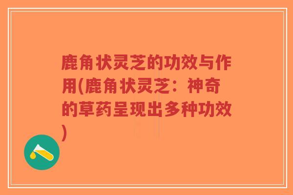 鹿角状灵芝的功效与作用(鹿角状灵芝：神奇的草药呈现出多种功效)