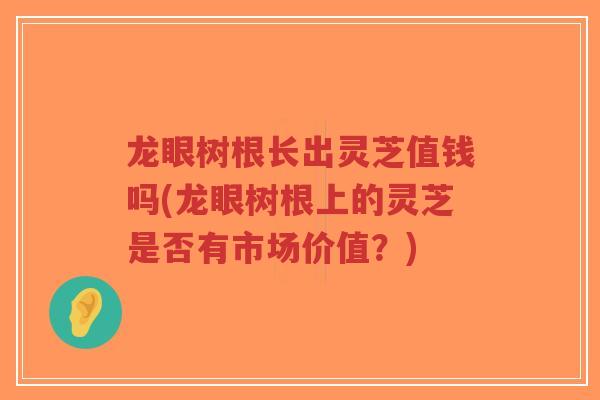 龙眼树根长出灵芝值钱吗(龙眼树根上的灵芝是否有市场价值？)