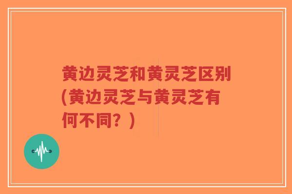 黄边灵芝和黄灵芝区别(黄边灵芝与黄灵芝有何不同？)