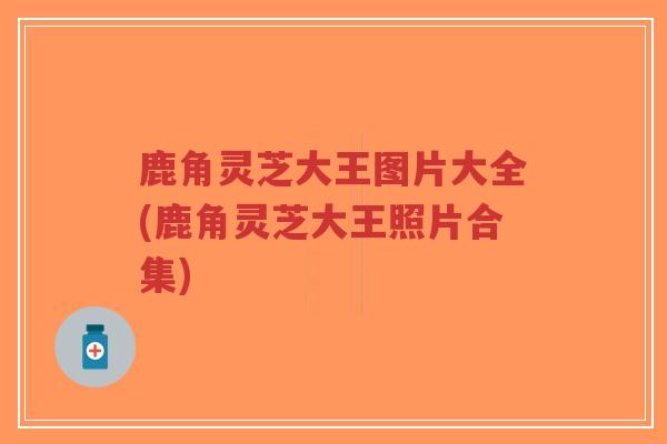 鹿角灵芝大王图片大全(鹿角灵芝大王照片合集)