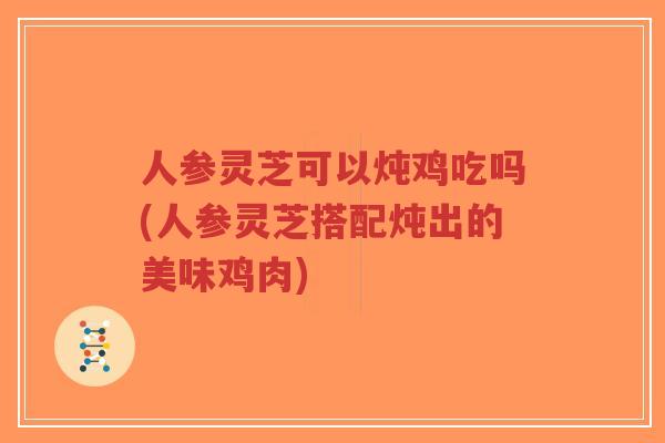 人参灵芝可以炖鸡吃吗(人参灵芝搭配炖出的美味鸡肉)