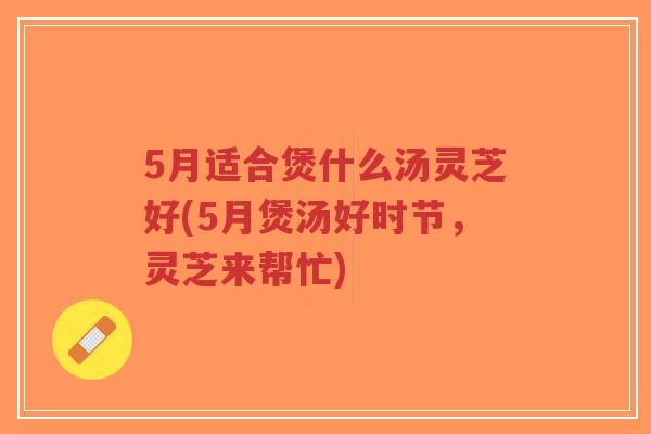 5月适合煲什么汤灵芝好(5月煲汤好时节,灵芝来帮忙) 5月适合煲什么汤灵芝好(5月煲汤好时节,灵芝来帮忙)