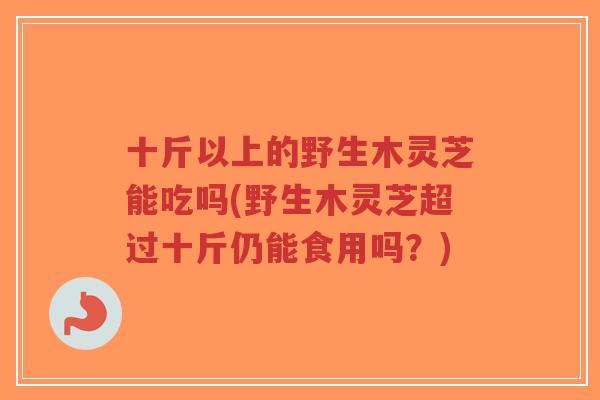 十斤以上的野生木灵芝能吃吗(野生木灵芝超过十斤仍能食用吗?)