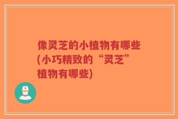像灵芝的小植物有哪些(小巧精致的“灵芝”植物有哪些)