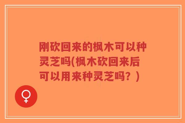 刚砍回来的枫木可以种灵芝吗(枫木砍回来后可以用来种灵芝吗?)
