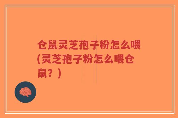 仓鼠灵芝孢子粉怎么喂(灵芝孢子粉怎么喂仓鼠?)