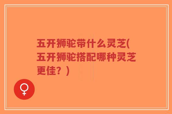 五开狮驼带什么灵芝(五开狮驼搭配哪种灵芝更佳?) 五开狮驼带什么灵芝(五开狮驼搭配哪种灵芝更佳?)