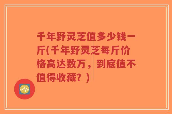 千年野灵芝值多少钱一斤(千年野灵芝每斤价格高达数万,到底值不值得收藏?)