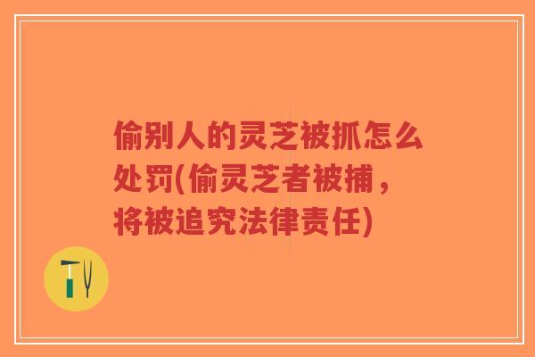 偷别人的灵芝被抓怎么处罚(偷灵芝者被捕,将被追究法律责任) 偷别人的灵芝被抓怎么处罚(偷灵芝者被捕,将被追究法律责任)