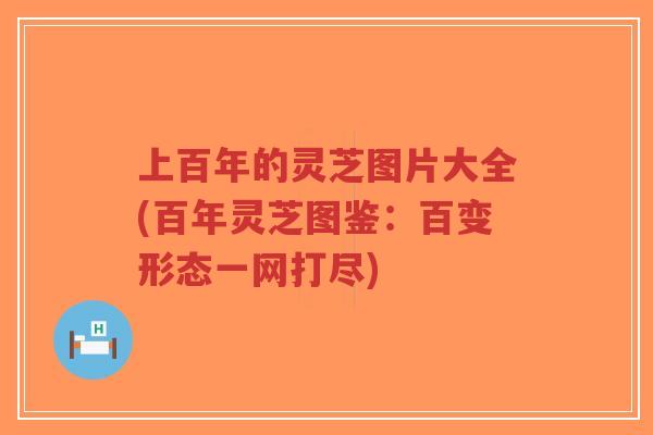 上百年的灵芝图片大全(百年灵芝图鉴：百变形态一网打尽)