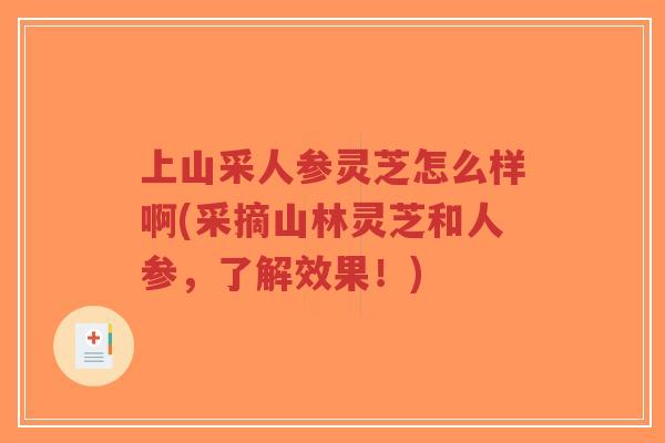 上山采人参灵芝怎么样啊(采摘山林灵芝和人参，了解效果！)