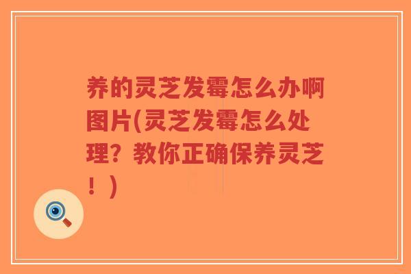 养的灵芝发霉怎么办啊图片(灵芝发霉怎么处理?教你正确保养灵芝!) 养的灵芝发霉怎么办啊图片(灵芝发霉怎么处理?教你正确保养灵芝!)