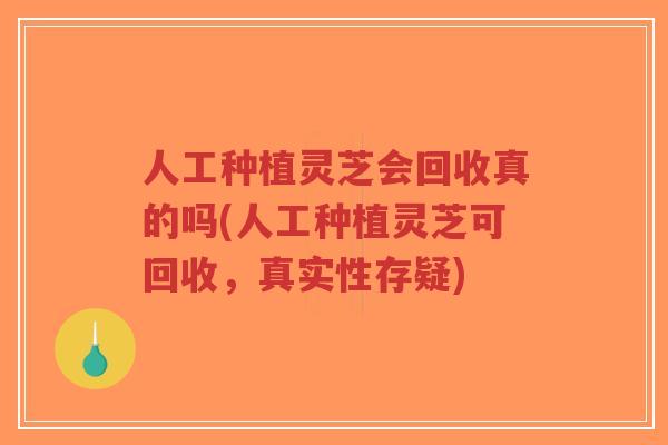 人工种植灵芝会回收真的吗(人工种植灵芝可回收，真实性存疑)