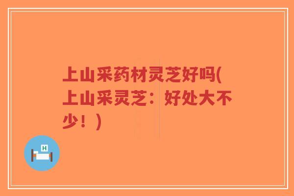 上山采药材灵芝好吗(上山采灵芝：好处大不少！)