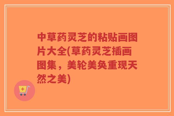 中草药灵芝的粘贴画图片大全(草药灵芝插画图集，美轮美奂重现天然之美)