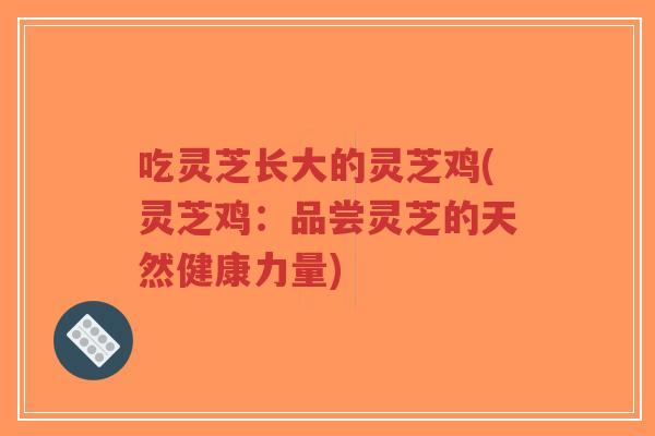 吃灵芝长大的灵芝鸡(灵芝鸡：品尝灵芝的天然健康力量)