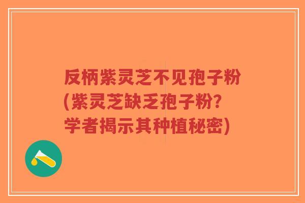 反柄紫灵芝不见孢子粉(紫灵芝缺乏孢子粉？学者揭示其种植秘密)