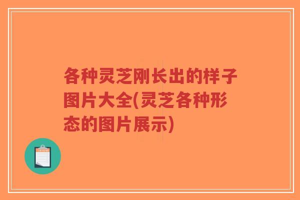 各种灵芝刚长出的样子图片大全(灵芝各种形态的图片展示)