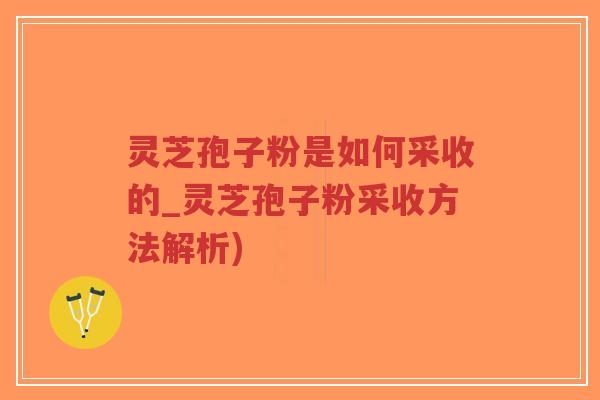 灵芝孢子粉是如何采收的_灵芝孢子粉采收方法解析)