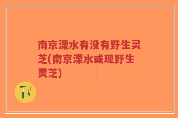 南京溧水有没有野生灵芝(南京溧水或现野生灵芝)
