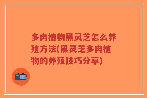 多肉植物黑灵芝怎么养殖方法(黑灵芝多肉植物的养殖技巧分享)