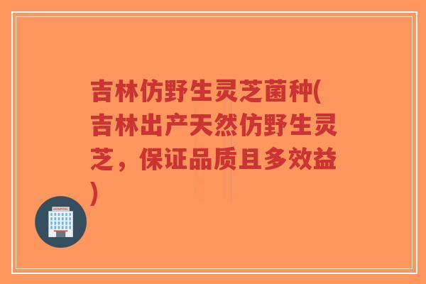 吉林仿野生灵芝菌种(吉林出产天然仿野生灵芝，保证品质且多效益)