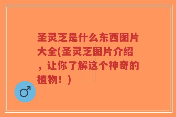 圣灵芝是什么东西图片大全(圣灵芝图片介绍，让你了解这个神奇的植物！)