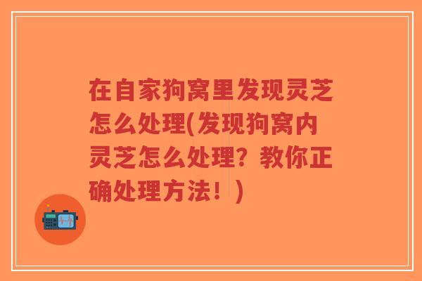 在自家狗窝里发现灵芝怎么处理(发现狗窝内灵芝怎么处理？教你正确处理方法！)