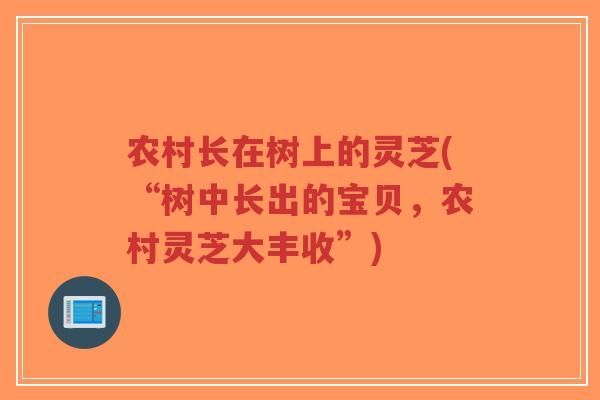 农村长在树上的灵芝(“树中长出的宝贝，农村灵芝大丰收”)