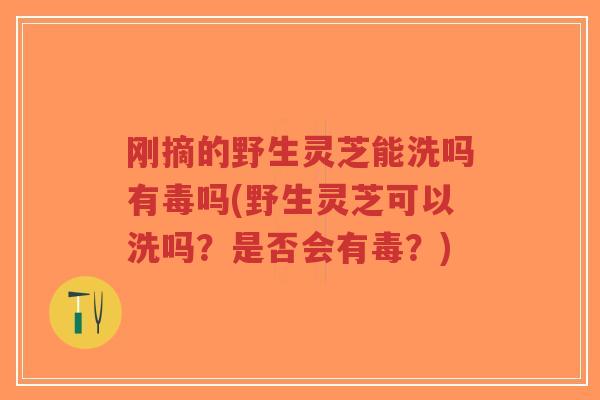 刚摘的野生灵芝能洗吗有毒吗(野生灵芝可以洗吗？是否会有毒？)