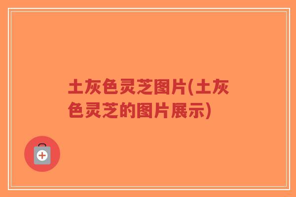 土灰色灵芝图片(土灰色灵芝的图片展示) 土灰色灵芝图片(土灰色灵芝的图片展示)