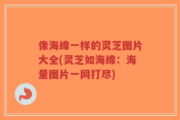 像海绵一样的灵芝图片大全(灵芝如海绵：海量图片一网打尽)