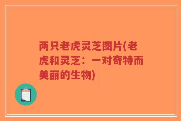 两只老虎灵芝图片(老虎和灵芝：一对奇特而美丽的生物)