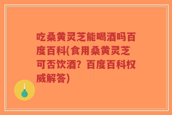吃桑黄灵芝能喝酒吗百度百科(食用桑黄灵芝可否饮酒？百度百科权威解答)