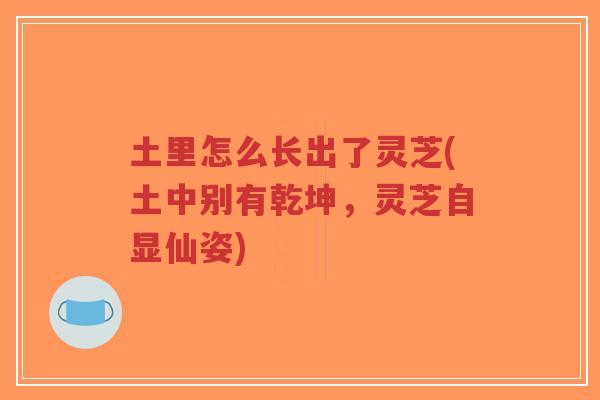 土里怎么长出了灵芝(土中别有乾坤，灵芝自显仙姿)