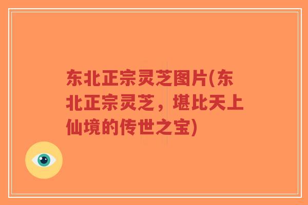 东北正宗灵芝图片(东北正宗灵芝，堪比天上仙境的传世之宝)