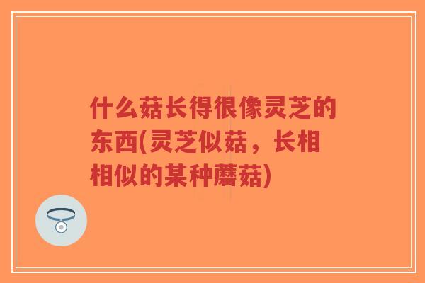 什么菇长得很像灵芝的东西(灵芝似菇，长相相似的某种蘑菇)