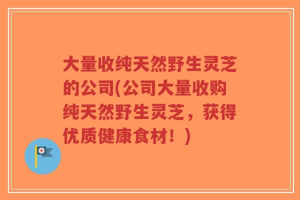 大量收纯天然野生灵芝的公司(公司大量收购纯天然野生灵芝,获得优质健康食材!) 大量收纯天然野生灵芝的公司(公司大量收购纯天然野生灵芝,获得优质健康食材!)