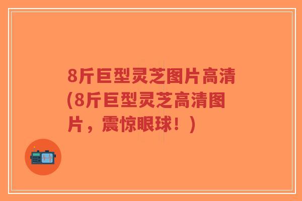 8斤巨型灵芝图片高清(8斤巨型灵芝高清图片,震惊眼球!) 8斤巨型灵芝图片高清(8斤巨型灵芝高清图片,震惊眼球!)