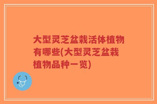 大型灵芝盆栽活体植物有哪些(大型灵芝盆栽植物品种一览)