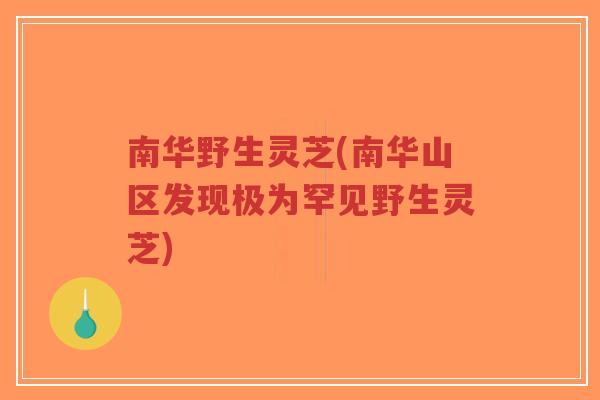南华野生灵芝(南华山区发现极为罕见野生灵芝)
