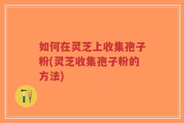 如何在灵芝上收集孢子粉(灵芝收集孢子粉的方法)