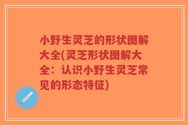 小野生灵芝的形状图解大全(灵芝形状图解大全:认识小野生灵芝常见的形态特征) 小野生灵芝的形状图解大全(灵芝形状图解大全:认识小野生灵芝常见的形态特征)