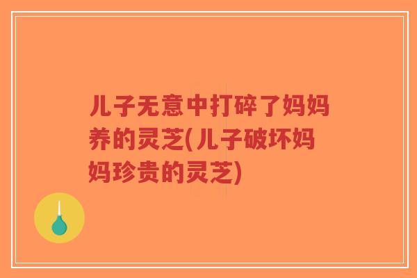 儿子无意中打碎了妈妈养的灵芝(儿子破坏妈妈珍贵的灵芝)