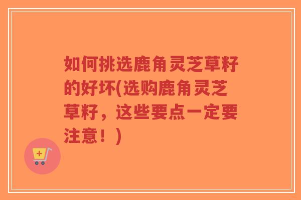 如何挑选鹿角灵芝草籽的好坏(选购鹿角灵芝草籽，这些要点一定要注意！)