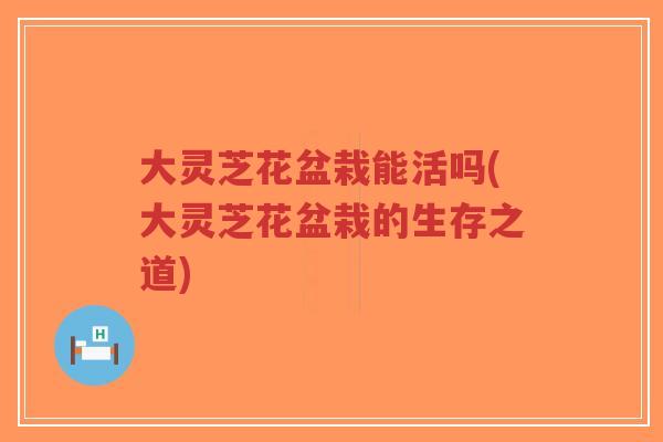 大灵芝花盆栽能活吗(大灵芝花盆栽的生存之道)
