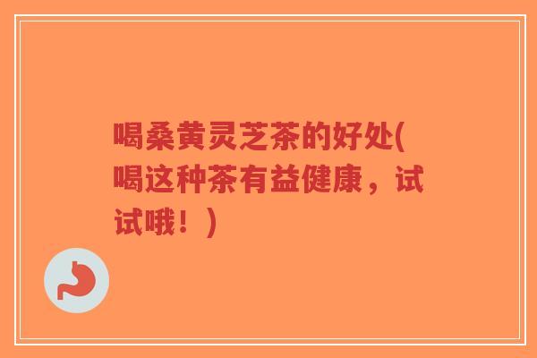 喝桑黄灵芝茶的好处(喝这种茶有益健康，试试哦！)